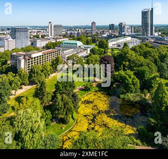 Die Skyline der Essener Innenstadt, mit dem RWE-Turm auf der rechten Seite und dem Stadtgarten davor, Nordrhein-Westfalen Stockfoto