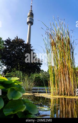 Westfalenpark, mit 70 Hektar, einer der größten innerstädtischen Parks Europas, Wasserkraftbecken, Florianturm, 219 Meter hohe Fernsehen und Fernsehen Stockfoto