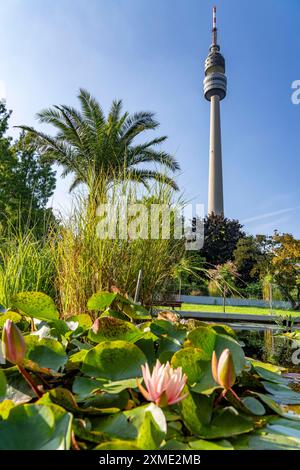 Westfalenpark, mit 70 Hektar, einer der größten innerstädtischen Parks Europas, Wasserkraftbecken, Florianturm, 219 Meter hohe Fernsehen und Fernsehen Stockfoto