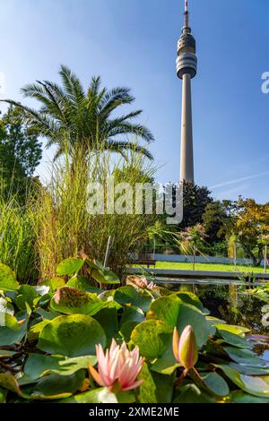 Westfalenpark, mit 70 Hektar, einer der größten innerstädtischen Parks Europas, Wasserkraftbecken, Florianturm, 219 Meter hohe Fernsehen und Fernsehen Stockfoto