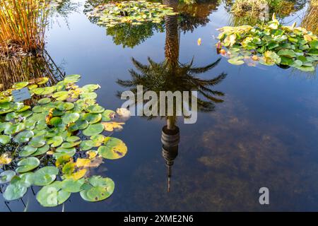 Westfalenpark, mit 70 Hektar, einer der größten innerstädtischen Parks Europas, Wasserkraftbecken, Florianturm, 219 Meter hohe Fernsehen und Fernsehen Stockfoto