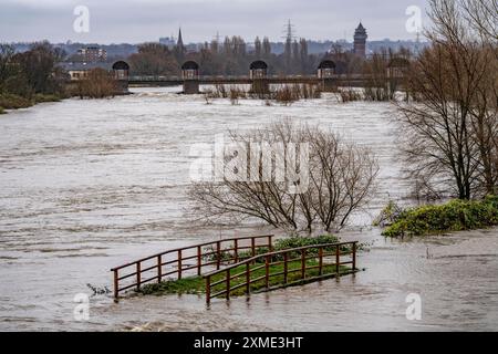 Hochwasser auf dem Ruhrgebiet, nach tagelangen Starkregen, überschwemmt das Ruhrgebiet, Warnstufe 2 von 3, hier Bereiche beim Raffelbergwehr, das heißt Stockfoto