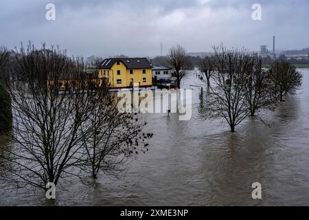 Hochwasser auf dem Ruhrgebiet, hier bei Hattingen, Gebäude auf einem überfluteten Campingplatz, komplett von Hochwasser umgeben, nach Tagen anhaltenden Regens, Norden Stockfoto