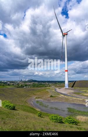 Mottbruchhalde, Windkraftanlage, Nabenhöhe 131 m, Typ Enercon E-138, Gladbeck, Nordrhein-Westfalen, Deutschland, Europa Stockfoto