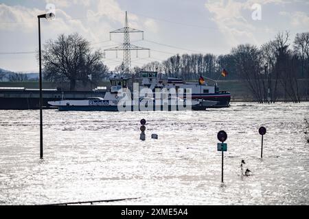 Rheinfähre zwischen Duisburg-Walsum und Rheinberg-Orsoy, Hochwasser, Nordrhein-Westfalen, Deutschland Stockfoto