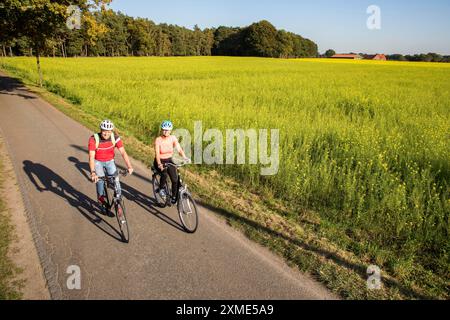 Radfahrer, Radtour im Naturschutzgebiet Dingdener Heide, Heide- und Moorlandschaft nördlich des Dorfes Dingden, Teil von Hamminkeln Stockfoto