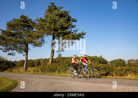 Radfahrer, Radtour im Naturschutzgebiet Dingdener Heide, Heide- und Moorlandschaft nördlich des Dorfes Dingden, Teil von Hamminkeln Stockfoto