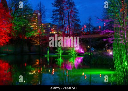 Parkleuchten, Event im Winter, im Grugapark in Essen, viele verschiedene Lichtinstallationen, quer durch den Park, locken viele Tausende von Besuchern an Stockfoto