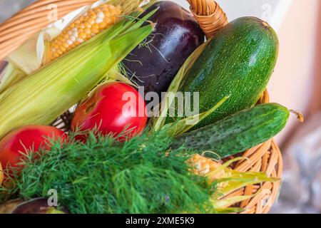 Nahaufnahme von frischem Gemüse und Kräutern im Korb. Stockfoto