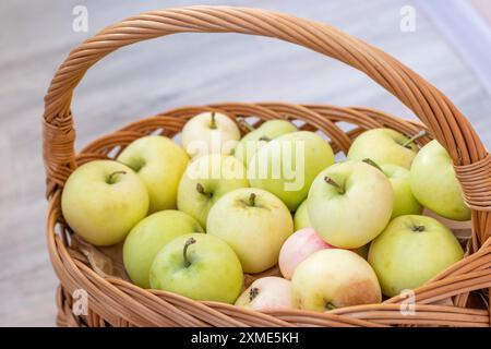 Schuss der frisch gepflückten Äpfel im Korb Stockfoto