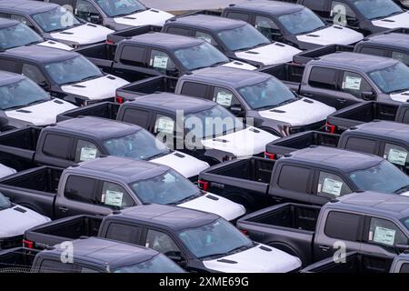 Ford FX4 Pickup Trucks auf Lager, im Überseehafen Bremerhaven, nach Import aus den USA in Deutschland, Niedersachsen, Deutschland Stockfoto