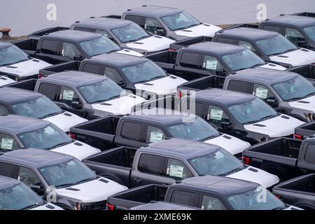 Ford FX4 Pickup Trucks auf Lager, im Überseehafen Bremerhaven, nach Import aus den USA in Deutschland, Niedersachsen, Deutschland Stockfoto