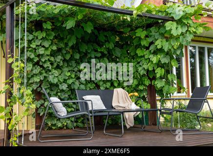 Hausgemachte Holzpergola mit Weinreben an der Rückwand, schwarze Gartenmöbel-Set, Vase mit orangen Blumen. Üppiges Sommergrün. Stockfoto