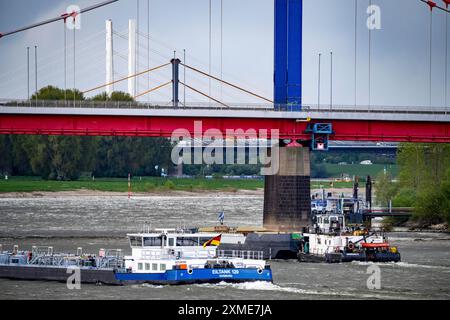 Frachtschiffe auf dem Rhein bei Duisburg, bei Ruhrort Hafen, Friedrich-Ebert-Brücke, hinter der Rheinbrücke Neuenkamp, A40, Neubau weiß Stockfoto