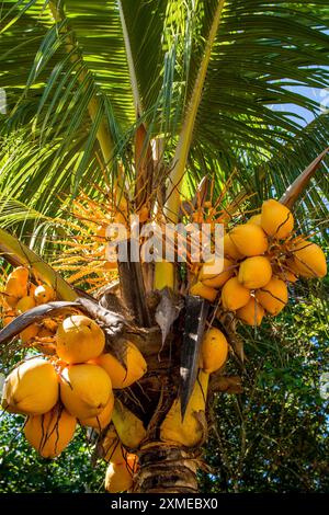 Four Seasons Resort, Mahe, Republik Seychellen, Indischer Ozean Stockfoto