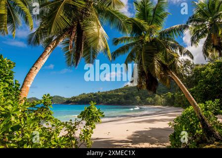 Petit Police Bay Beach, Mahe, Republik Seychellen, Indischer Ozean Stockfoto