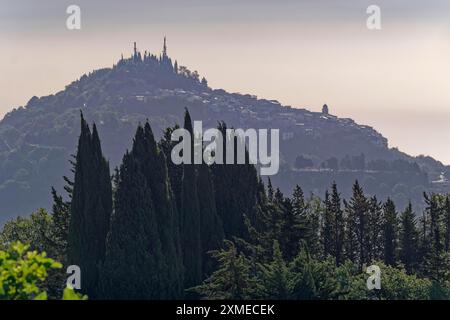 Zypressen in der Landschaft bei Fardella in Basilicata im Nationalpark Pollino. Fardella, Basilicata, Süditalien, Südeuropa Stockfoto