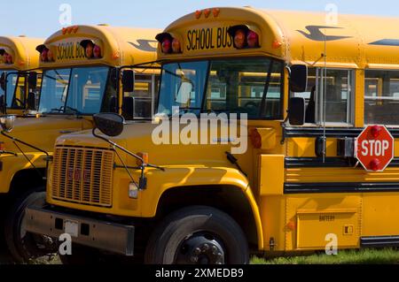 COLORADO, USA: Schulbusse warten in einem Depot auf den Beginn eines weiteren Schuljahres im ländlichen Colorado. Stockfoto