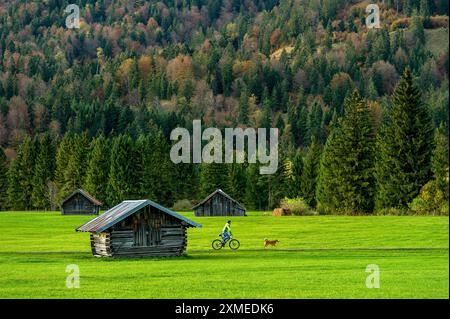 Grüne Wiese mit Blockhütten, hölzerne Heuhütten, Radfahrer, Mann auf Fahrrad Wanderhund, Wald, Berg, Wallgau, Oberbayern, Bayern, Deutschland Stockfoto