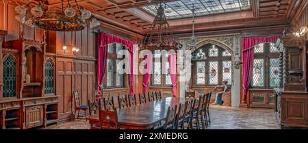 Kathrin im Festsaal Schloss Rothestein Bad Sooden-Allendorf Deutschland Stockfoto