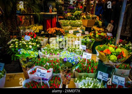 Ein farbenfroher Blumenstand strotzt auf einem Amsterdamer Markt vor Blüten. Preisschilder auf Niederländisch hängen über Tulpen, ihre lebhafte Anzeige ist ein fest für den Sinn Stockfoto