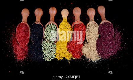 Große Sammlung von Gewürzen und Kräutern in Holzlöffeln. Gewürze für Lebensmittel auf schwarzem Hintergrund. Bunte Kräuter und Gewürze zum Kochen Stockfoto
