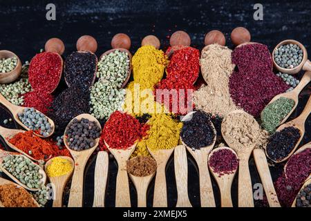 Große Sammlung von Gewürzen und Kräutern in Holzlöffeln. Gewürze für Lebensmittel auf schwarzem Hintergrund. Bunte Kräuter und Gewürze zum Kochen Stockfoto