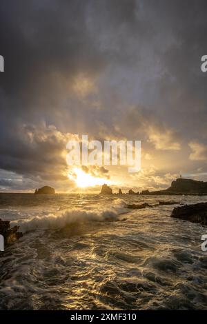 Stony Coast mit Sharp Rock Formationen in A Bay in the Sea. Regnerischer Sonnenaufgang, Dramatische Atmosphäre. Pointes Des Colibris Auf Grande Terre, Guadeloupe, Fren Stockfoto