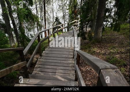 Dieses Bild zeigt eine Holztreppe, die sich durch einen dichten Wald schlängelt. Der mit Geländern gesäumte Weg führt sanft hinunter und lädt zur Erkundung des Lu ein Stockfoto