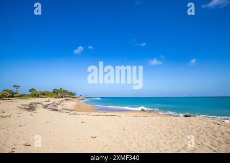 Einsamer, Breiter Sandstrand Mit Türkisblauem Meer. Tropische Pflanzen in Einer Bucht bei Sonnenuntergang in der Karibik. Plage De Cluny, Basse Terre, Guadeloupe, Französisch Stockfoto