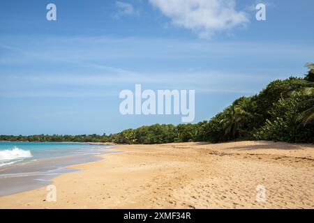 Einsamer, Breiter Sandstrand Mit Türkisblauem Meer. Tropische Pflanzen in Einer Bucht bei Sonnenuntergang in der Karibik. Plage De Cluny, Basse Terre, Guadeloupe, Französisch Stockfoto