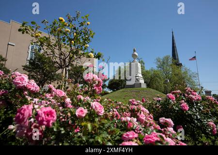 Vicksburg, Mississippi, USA - 23. April 2024: Ein Rosengarten und ein Denkmal umrahmen das historische Gerichtsgebäude im historischen Herzen der Innenstadt von Vicksburg. Stockfoto