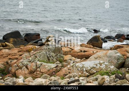 Küstenlandschaft mit Steinen am Strand und Salzwasser an der Westküste Schwedens im Sommer. Stockfoto