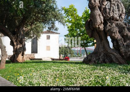 Zwei ältere Freunde unterhalten sich im Park an einem sonnigen Tag in Lissabon, Portugal. Konzentrieren Sie sich auf das Gras und die Blumen Stockfoto