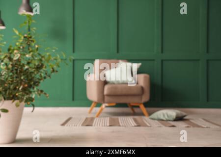 Sessel mit Kissen und Zimmerpflanzen in der Nähe der grünen Wand im Zimmer Stockfoto