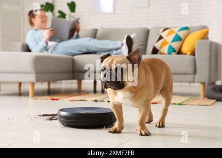 Niedliche französische Bulldogge in der Nähe von Roboter-Staubsaugern und verstreuter Erde zu Hause Stockfoto