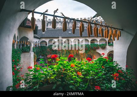 Österreich - 26. Oktober 2023 : Blick durch einen Bogengang eines Hofes mit Maistrocknung auf einer Linie. Die Wände sind weiß und haben rote Blumen, die auf t wachsen Stockfoto