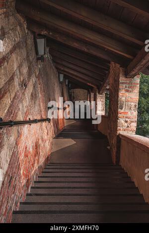 Stufen führen von Budapest Ungarn zur Fischerbastei Stockfoto