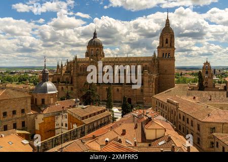 Salamanca Panoramablick auf die Skyline von Salamanca mit der Kathedrale von Salamanca (alte und neue Kathedrale) in Salamanca, Spanien. Salamanca Stadtbild, Tag, keine Leute. Stockfoto