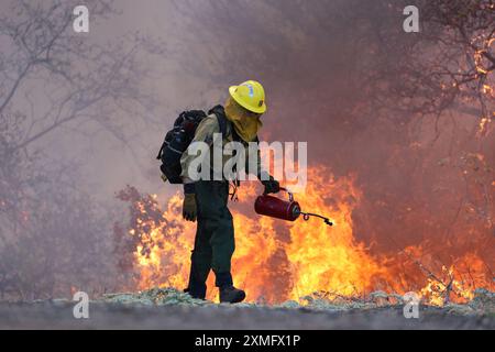 Das Foto zeigt Feuerwehrmänner, die am 25. Juli 2024 in Kalifornien, USA, gegen To Flames kämpften. Kaliforniens größtes aktives Feuer explodierte am Freitagabend, wuchs rasch unter knochentrockenen Brennstoffen an und bedrohte Tausende von Häusern, als sich die Feuerwehrleute um die Gefahr bemühten. Die Intensität und schnelle Ausbreitung des Parkfeuers veranlassten die Feuerbeamten, unwillkommene Vergleiche mit dem monströsen Lagerfeuer anzustellen, das 2018 im nahegelegenen Paradise außer Kontrolle brannte, 85 Menschen tötete und 11.000 Häuser abbrannte. Bisher wurden mehr als 130 Gebäude durch diesen Brand zerstört, und Tausende weitere sind noch immer bedroht Stockfoto