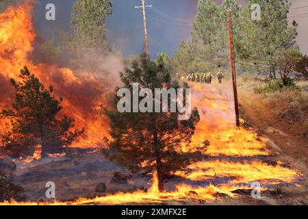 Das Foto zeigt Feuerwehrmänner, die am 25. Juli 2024 in Kalifornien, USA, gegen To Flames kämpften. Kaliforniens größtes aktives Feuer explodierte am Freitagabend, wuchs rasch unter knochentrockenen Brennstoffen an und bedrohte Tausende von Häusern, als sich die Feuerwehrleute um die Gefahr bemühten. Die Intensität und schnelle Ausbreitung des Parkfeuers veranlassten die Feuerbeamten, unwillkommene Vergleiche mit dem monströsen Lagerfeuer anzustellen, das 2018 im nahegelegenen Paradise außer Kontrolle brannte, 85 Menschen tötete und 11.000 Häuser abbrannte. Bisher wurden mehr als 130 Gebäude durch diesen Brand zerstört, und Tausende weitere sind noch immer bedroht Stockfoto