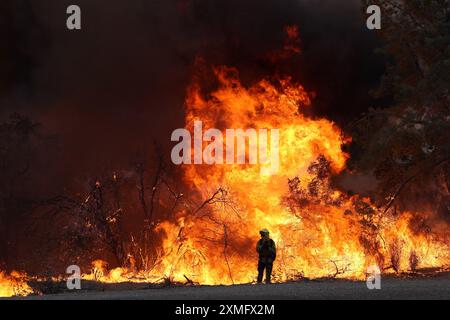 Das Foto zeigt Feuerwehrmänner, die am 25. Juli 2024 in Kalifornien, USA, gegen To Flames kämpften. Kaliforniens größtes aktives Feuer explodierte am Freitagabend, wuchs rasch unter knochentrockenen Brennstoffen an und bedrohte Tausende von Häusern, als sich die Feuerwehrleute um die Gefahr bemühten. Die Intensität und schnelle Ausbreitung des Parkfeuers veranlassten die Feuerbeamten, unwillkommene Vergleiche mit dem monströsen Lagerfeuer anzustellen, das 2018 im nahegelegenen Paradise außer Kontrolle brannte, 85 Menschen tötete und 11.000 Häuser abbrannte. Bisher wurden mehr als 130 Gebäude durch diesen Brand zerstört, und Tausende weitere sind noch immer bedroht Stockfoto