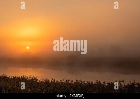 Tauchen Sie ein in die Ruhe eines friedlichen Sonnenaufgangs über einem Nebelfluss an einem ruhigen Herbstmorgen Stockfoto