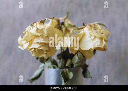 Trockene Rose auf hölzernem Hintergrund Stockfoto