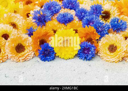 Mischung aus Kornblumen (Centaurea cyanus) und Ringelblumen (Calendula officinalis) auf Betonoberfläche. (Leerzeichen für Ihren Text). Stockfoto