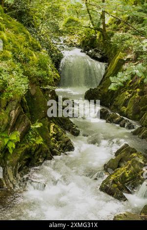 Ceunant Mawr Wasserfall, Llanberis, Gwynedd, Wales Stockfoto