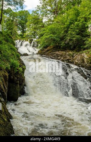 Schwalbenfälle, Betws-y-Coed, Conwy, Wales Stockfoto