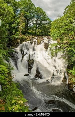 Schwalbenfälle, Betws-y-Coed, Conwy, Wales Stockfoto