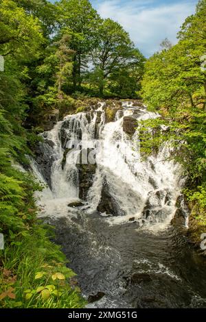 Schwalbenfälle, Betws-y-Coed, Conwy, Wales Stockfoto