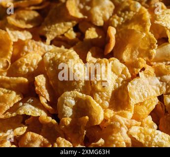 Makroaufnahme goldener Cornflakes in einer Schüssel mit starker Seitenbeleuchtung Stockfoto
